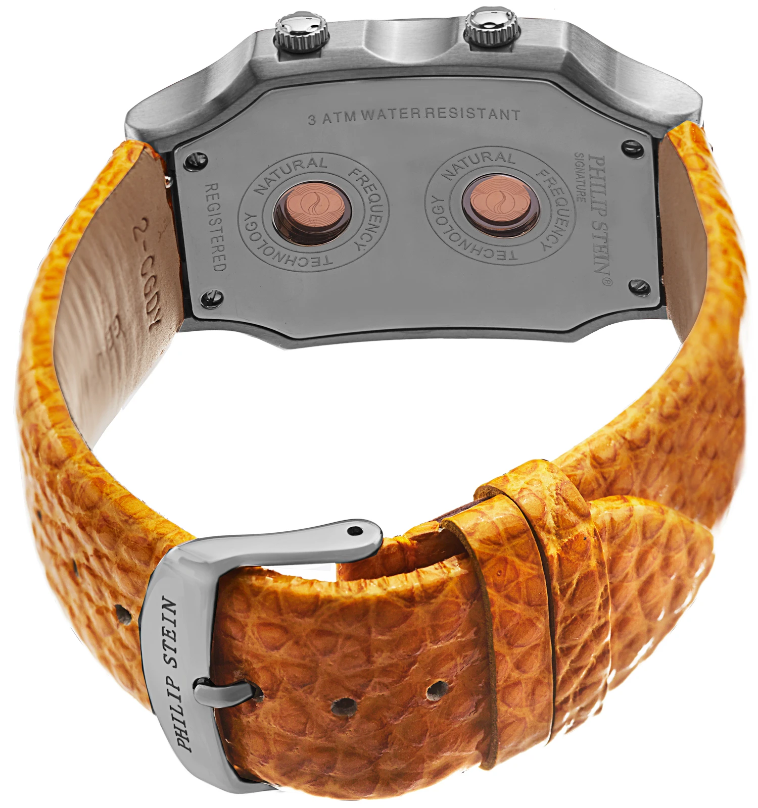 Philip Stein Signature Large Ladies Watch Model 2-BK-CGDY 2 Philip Stein Signature Large Ladies Watch Model 2-BK-CGDY - Image 2